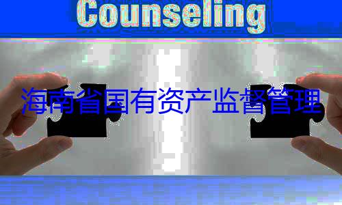 理委员会党有福接受审资产监督管海南省国有委副书记王查调查